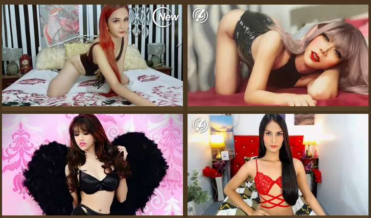 Principais webcams ao vivo para travestis